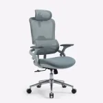 Premium Ergonomic Office Chair| DT-916