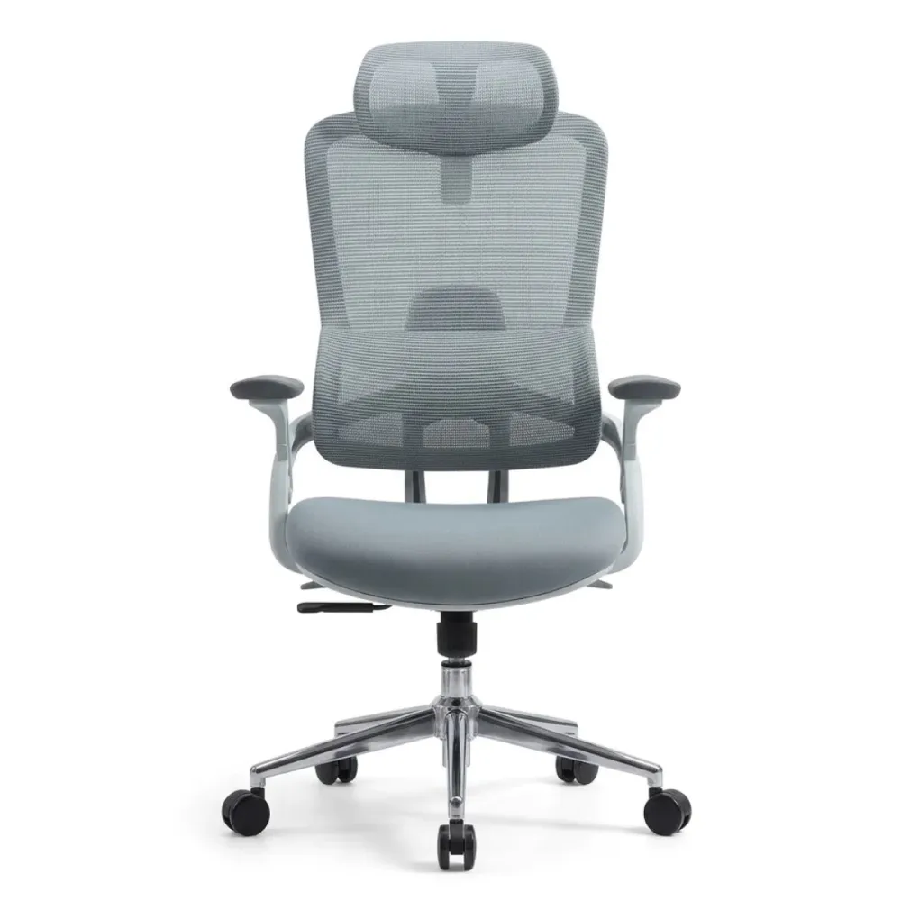 Premium Ergonomic Office Chair| DT-916