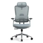 Premium Ergonomic Office Chair| DT-916