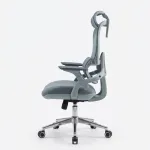 Premium Ergonomic Office Chair| DT-916