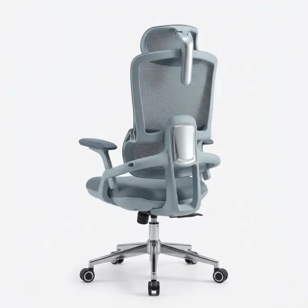 Premium Ergonomic Office Chair| DT-916