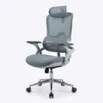 Premium Ergonomic Office Chair| DT-916