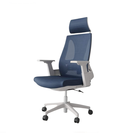 Ergonomic Office Chair| DT-1251