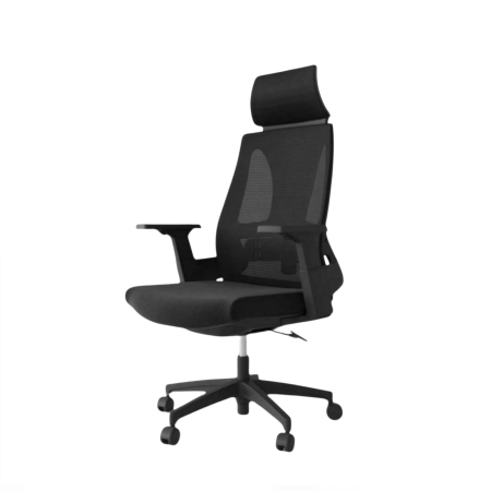 Ergonomic Office Chair| DT-1251