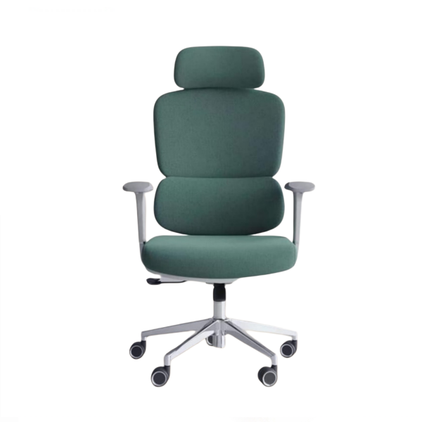 Stylish Ergonomic Office Chair| DT- 911