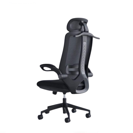 Ergonomic Office Chair| DT-906