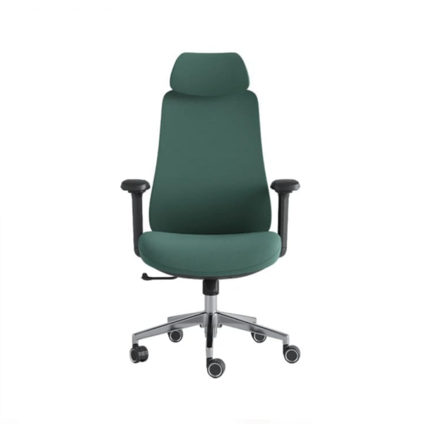 Premium Ergonomic Chair| DT-940