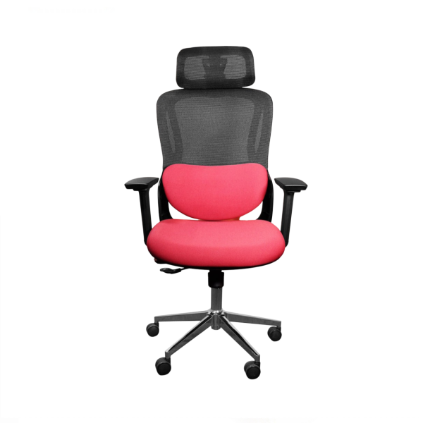 Ergonomic Chair|DT- 955