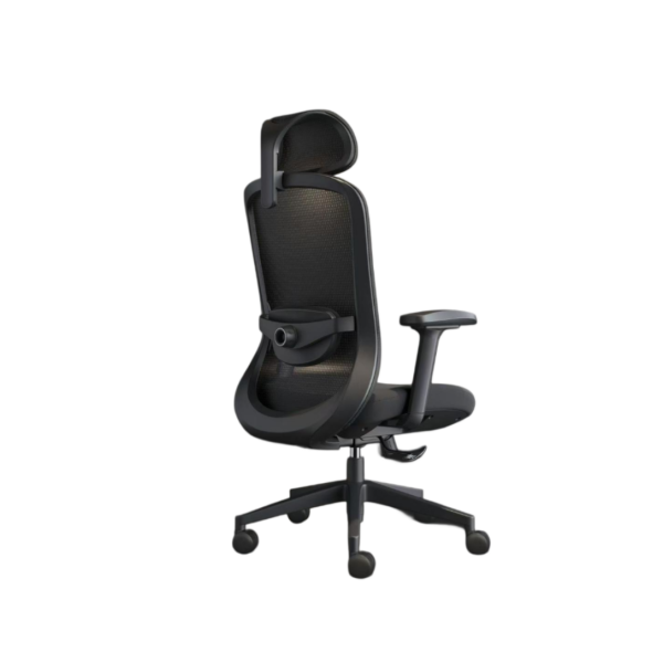 Ergonomic Chair| DT-960