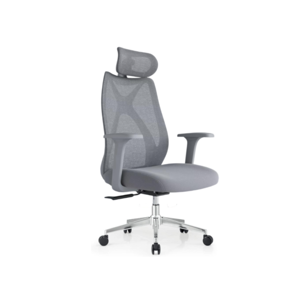 Ergonomic Chair| DT-965