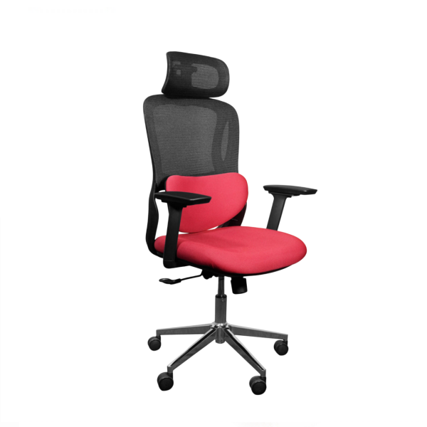 Ergonomic Chair|DT- 955