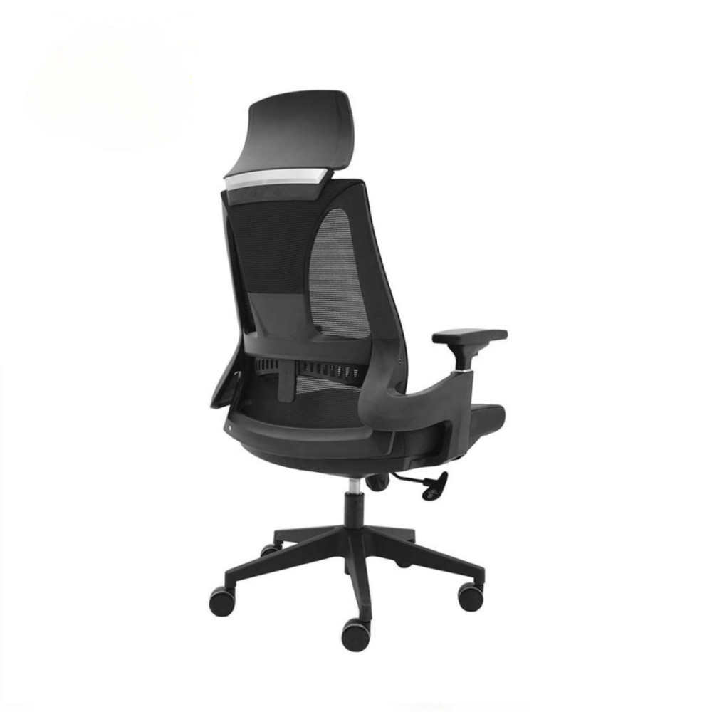 Ergonomic Chair with Adjustable Armrests| 1251A Ergonomic Chair with Adjustable Armrests| 1251A