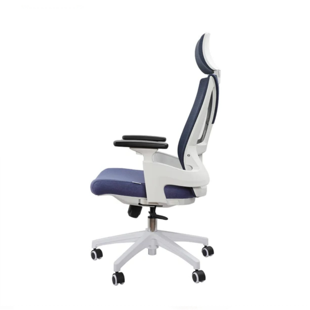 Ergonomic Chair with Adjustable Armrests| 1251A 