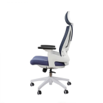 Ergonomic Office Chair – Work 8 Hours Comfortably with Lumbar Support | DT-1251