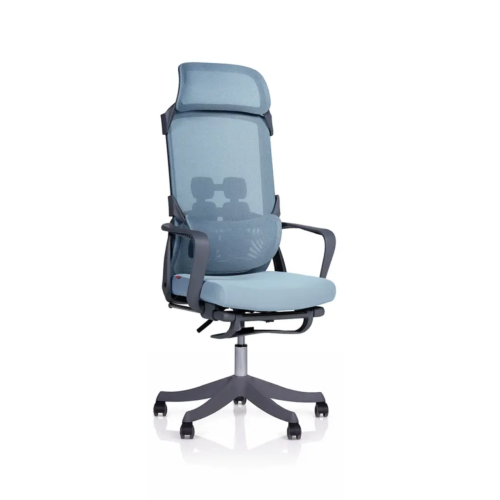 Ergonomic Chair| DT-915 Ergonomic Chair| DT-915