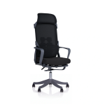 Ergonomic Chair| DT-915 Ergonomic Chair| DT-915