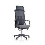 Ergonomic Chair| DT-915 Ergonomic Chair| DT-915
