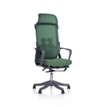 Ergonomic Chair| DT-915 Ergonomic Chair| DT-915