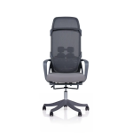 Ergonomic Chair| DT-915 Ergonomic Chair| DT-915
