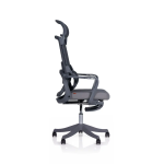 Ergonomic Chair| DT-915 Ergonomic Chair| DT-915