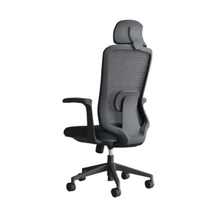Ergonomic Office Chair with Lumbar Support| DT-907