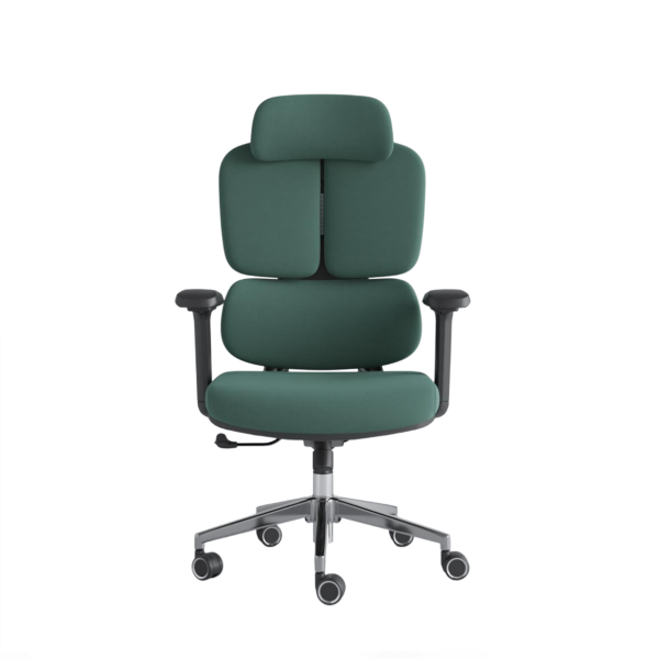 Ergonomic Office Chair| DT-901