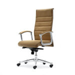 Elegant Director Chair| DT-902