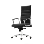 Elegant Director Chair| DT-902