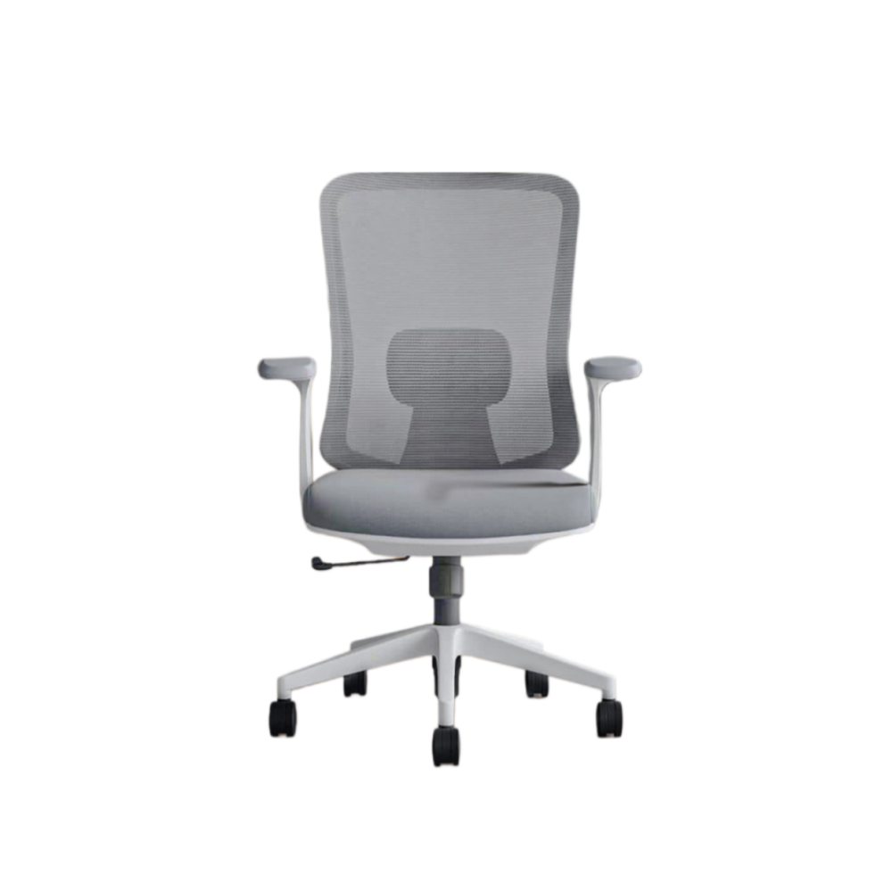Modern Ergonomic Office Chair| DT-907M