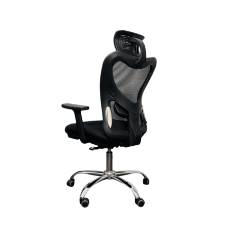 Ergonomic Chair with Adjustable Features| DT-909