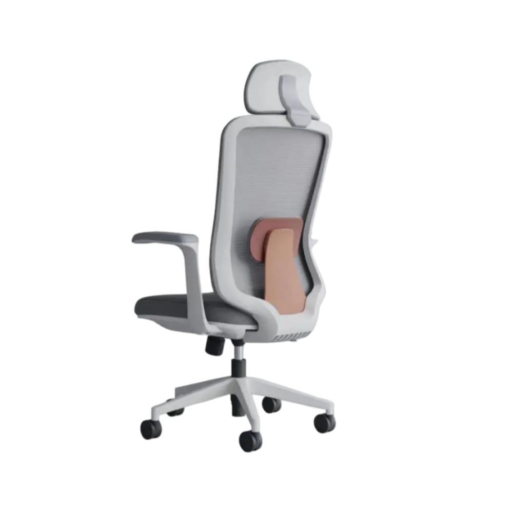 Ergonomic Office Chair with Lumbar Support| DT-907