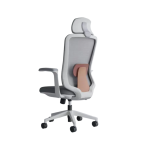 Ergonomic Office Chair with Lumbar Support| DT-907