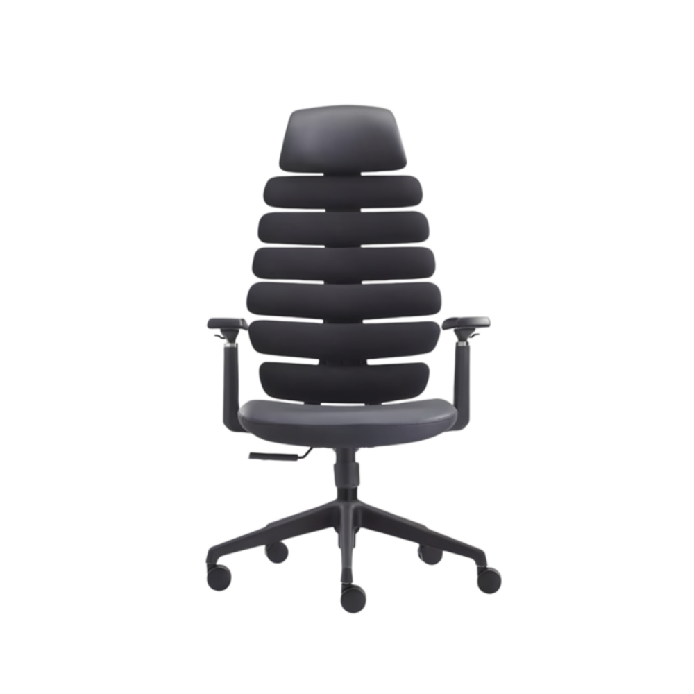 Ergonomic Office Chair| DT-915